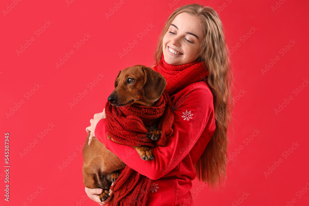 Young woman and dachshund dog with scarfs on red background