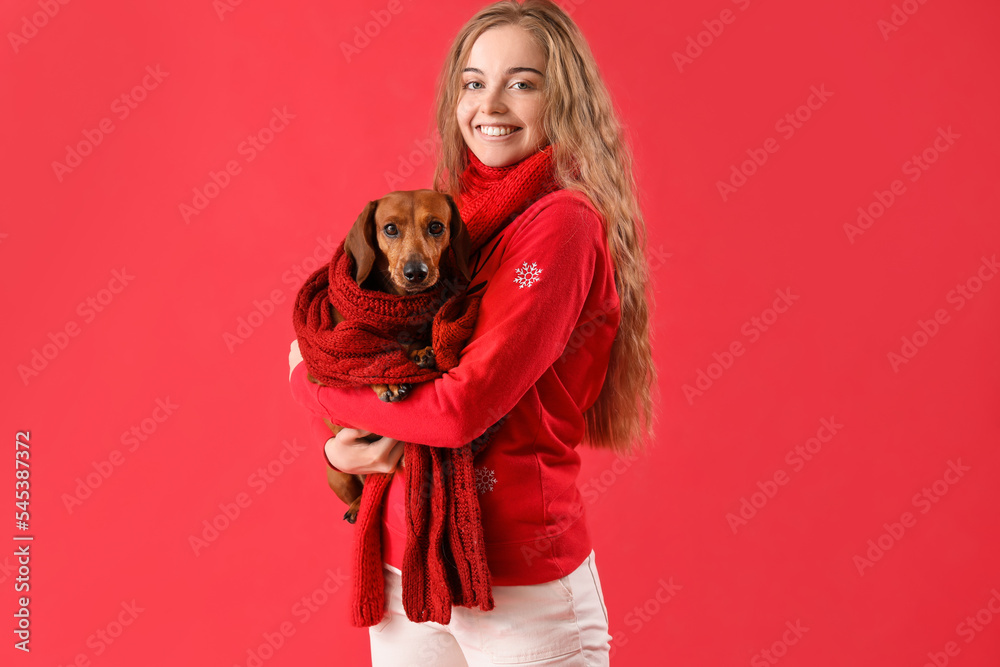 红底戴围巾的年轻女子和达克斯猎犬