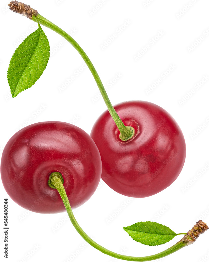 Two cherries isolated