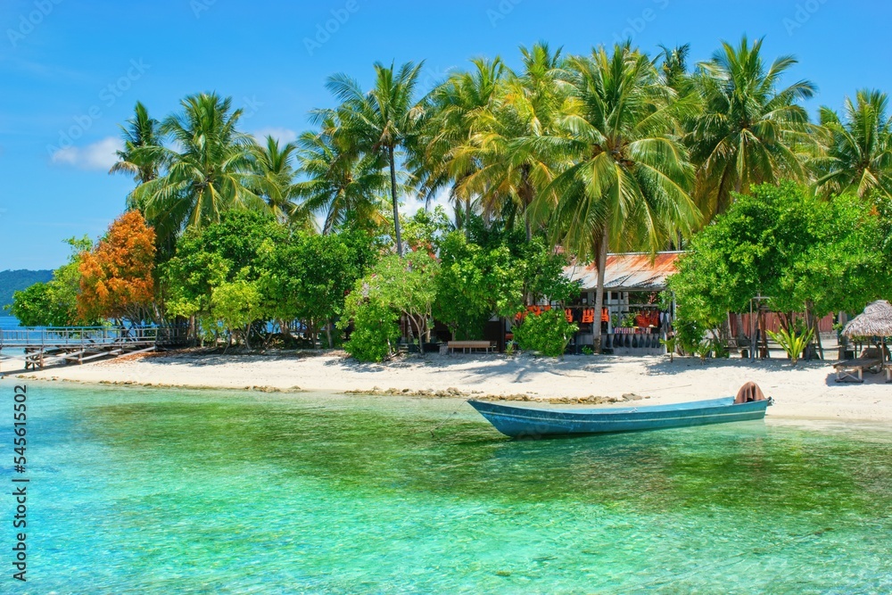 棕榈树海滩上美丽的夏日景色-Arborek岛，Raja Ampat，西巴布亚，印度支那