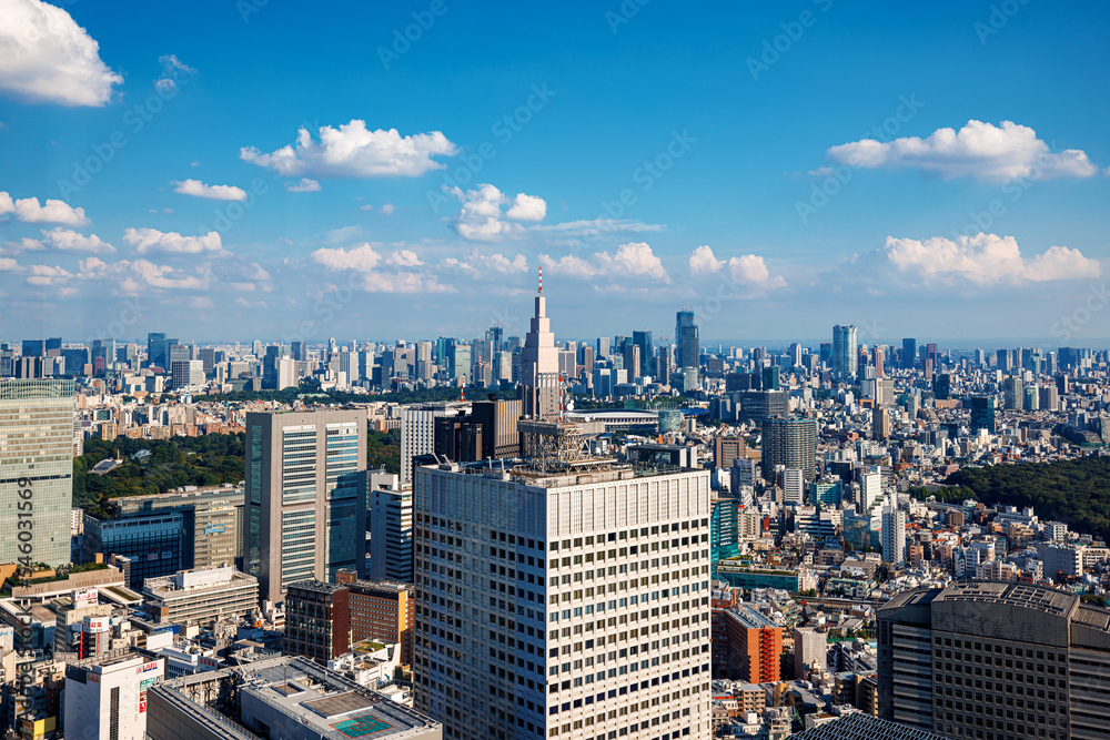 摩天大楼耸立在日本东京西新宿的城市景观之上