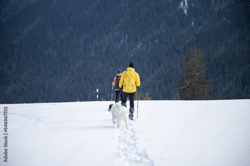 冬天，人和狗在大山里的大雪中徒步旅行