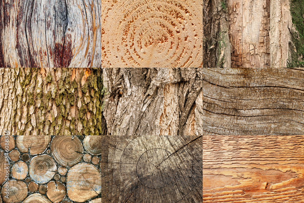 Collection of wooden textures, closeup view