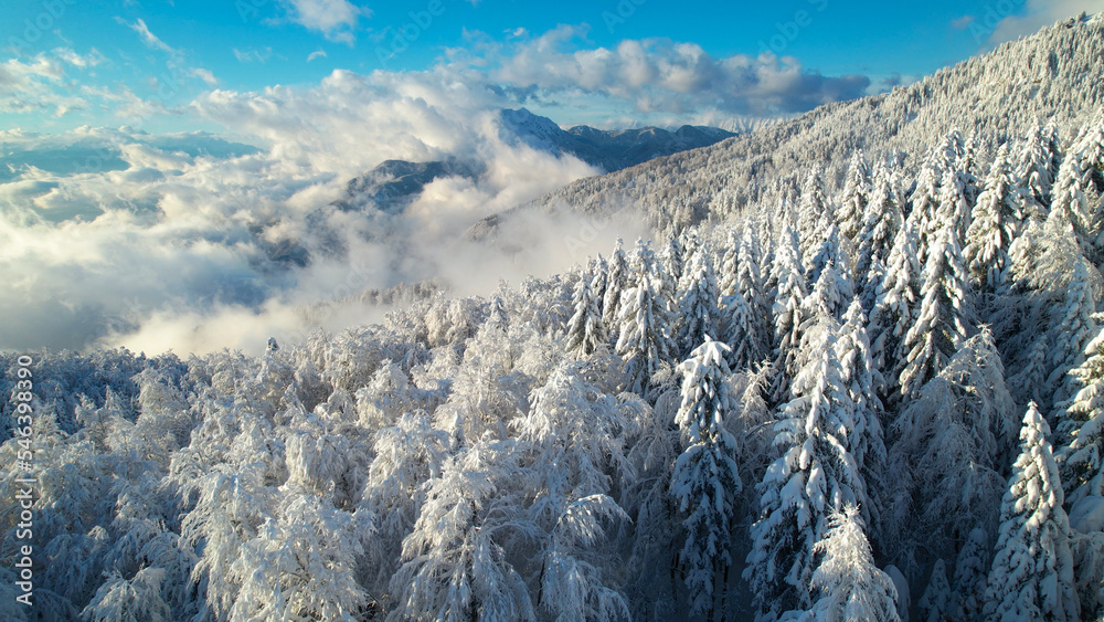 航空航天：新鲜降雪后云杉林和高山景观的壮丽景色