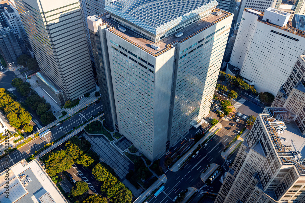 摩天大楼高耸在日本东京新宿市的城市景观之上