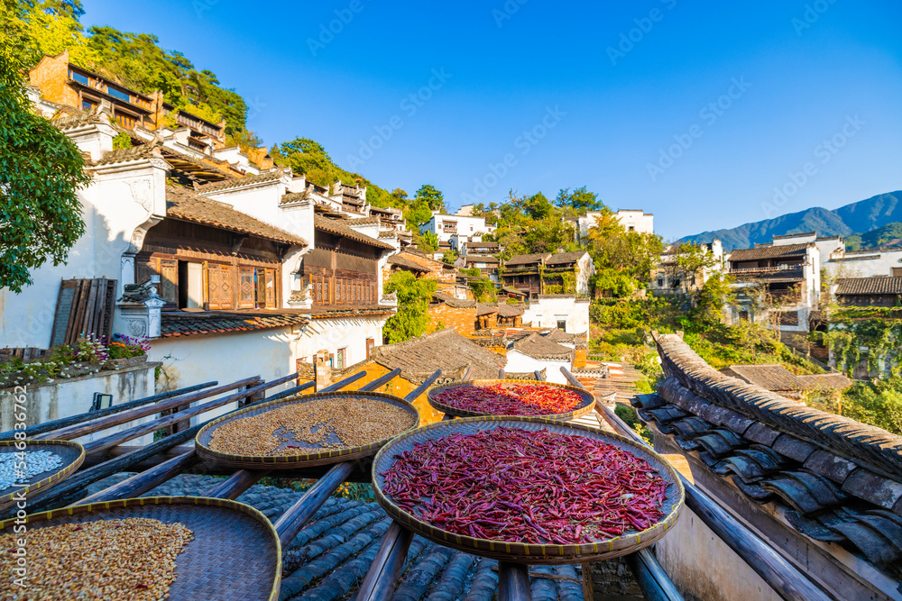 江西婺源黄陵风景区晒秋色