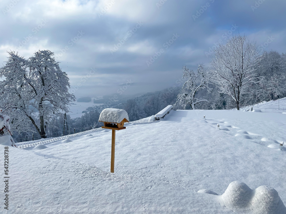 Snowy garden with wooden bird feeder covered with blanket of freshly fallen snow