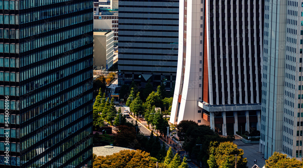 Skyscrapers towering above the cityscape of Nishi-Shinjuku, Tokyo, Japan