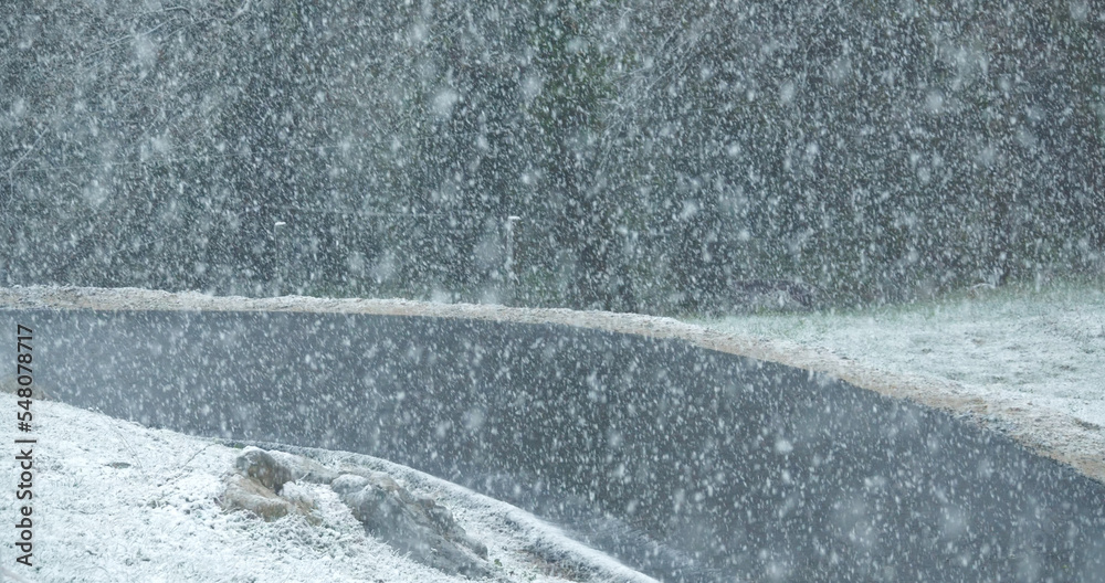 寒冷的冬季，大范围的降雪席卷乡村