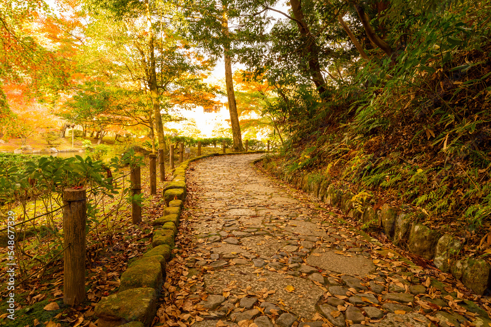 成田山公園の散策路