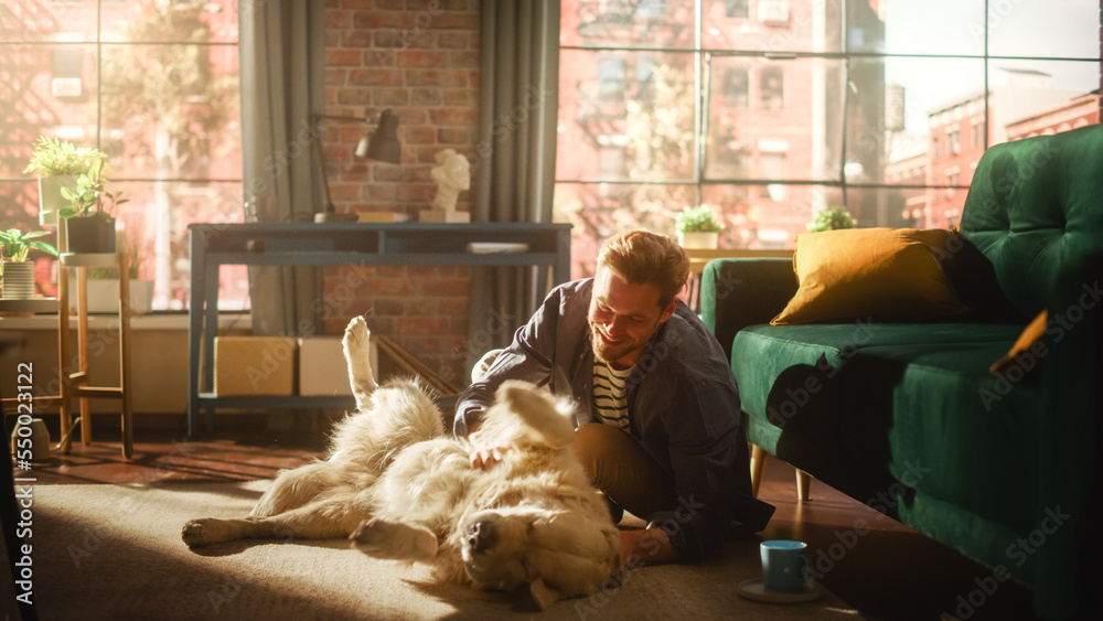 Young Adult Man Having Fun and Playing with His Golden Retriever Pet on a Living Room Floor. Attract