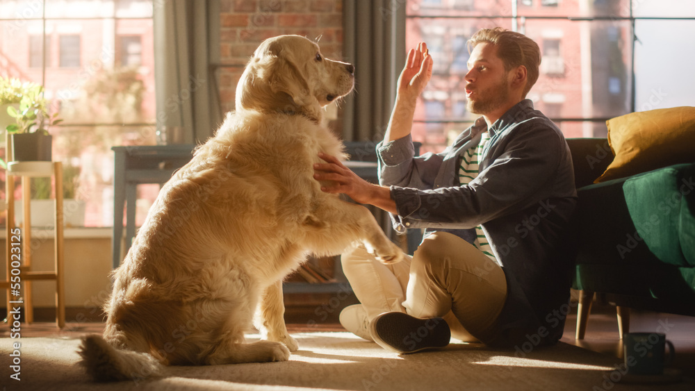 Happy Handsome Young Man Offers His Gorgeous Golden Retriever a Treat in Exchange for a Trick or Com