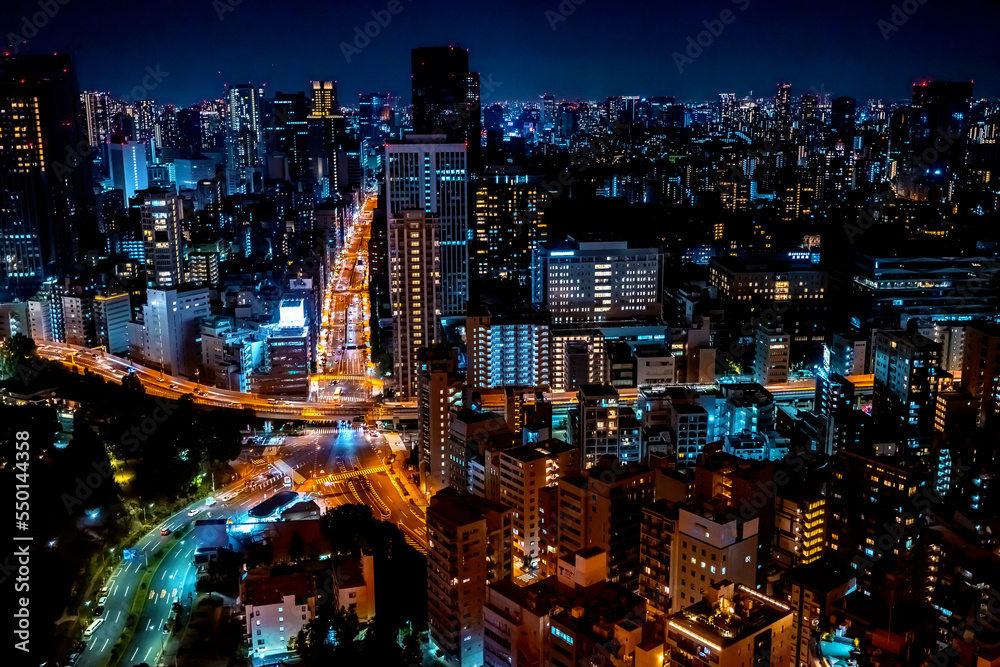 Skyscrapers and highways through Minato, Tokyo, Japan