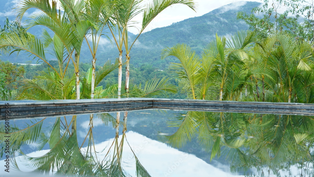 The beautiful hotel garden view with the mountains and trees around them