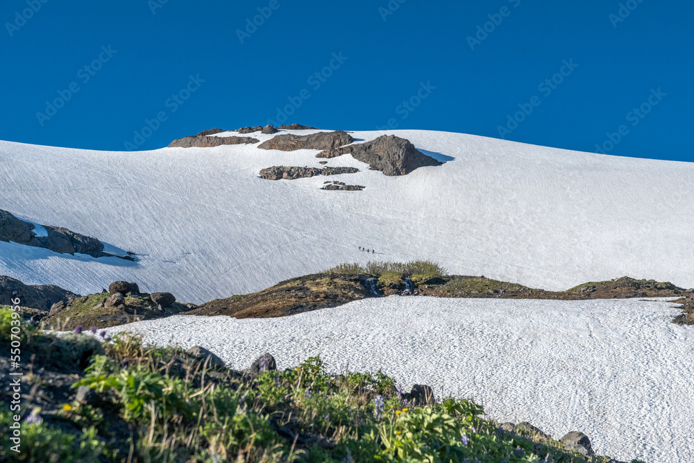 snow covered mountain