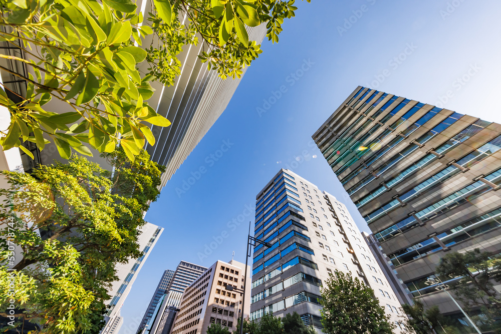 朝日が綺麗な東京のビル群