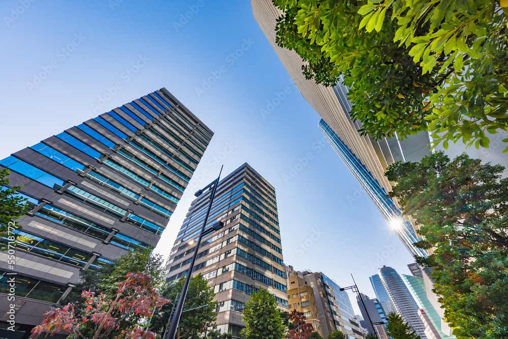 朝日が綺麗な東京のビル群