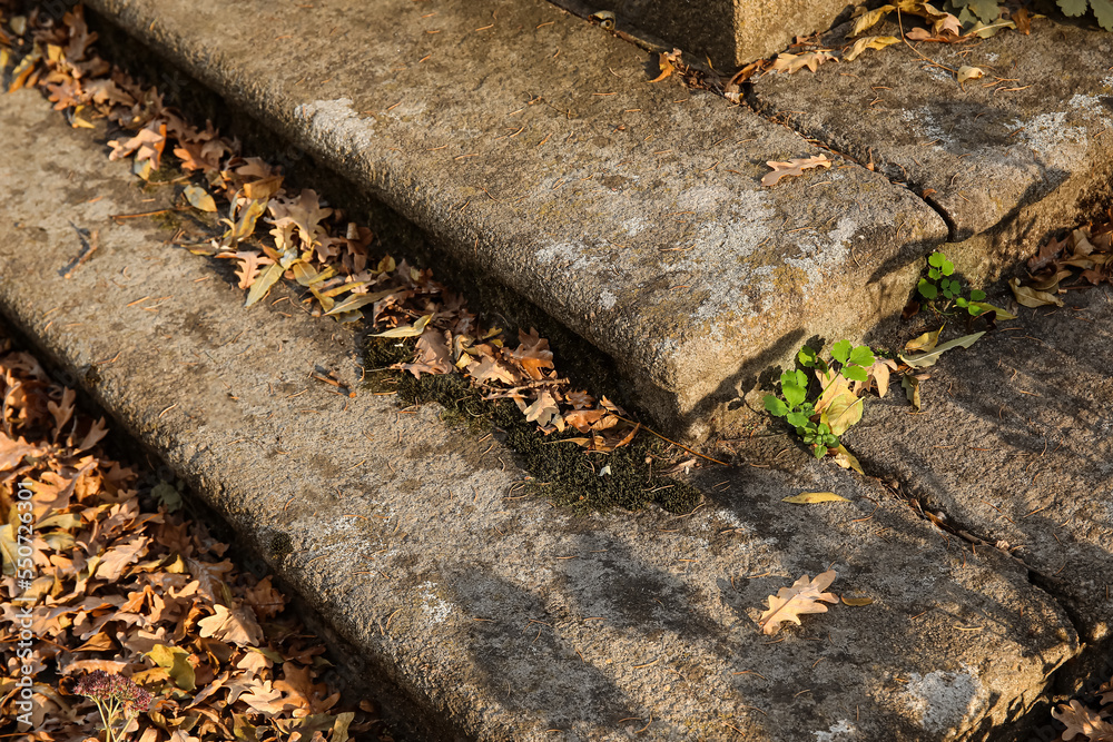 Steps with fallen leaves in autumn park, closeup