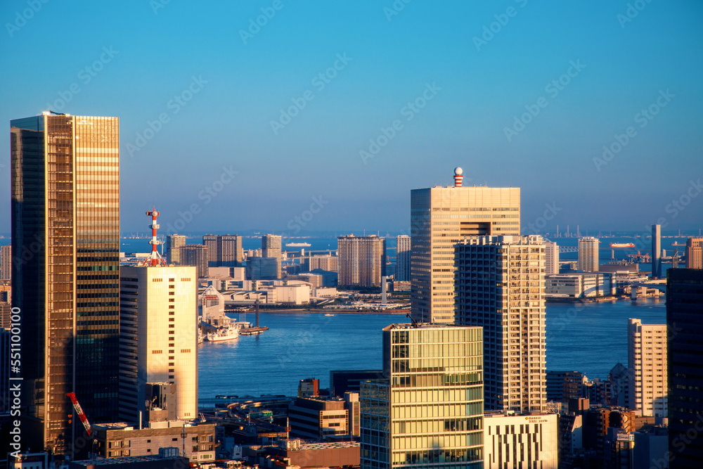 Aerial view of the skyline and cityscape at sunset in Minato, Tokyo, Japan