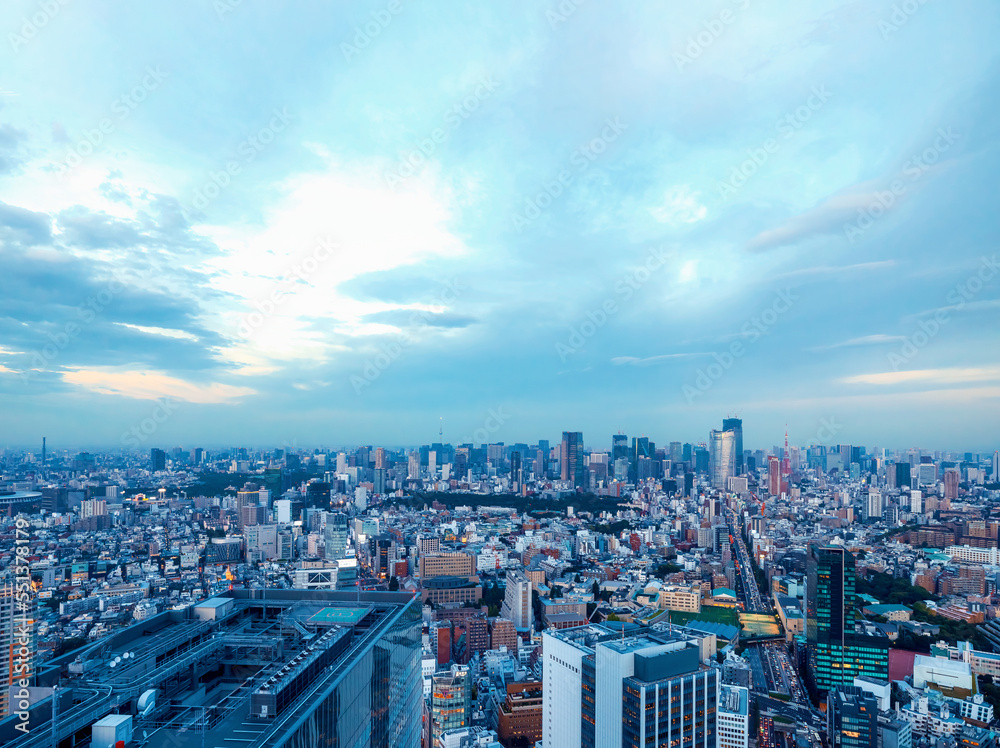 日本涩谷鸟瞰图，背景为新宿天际线