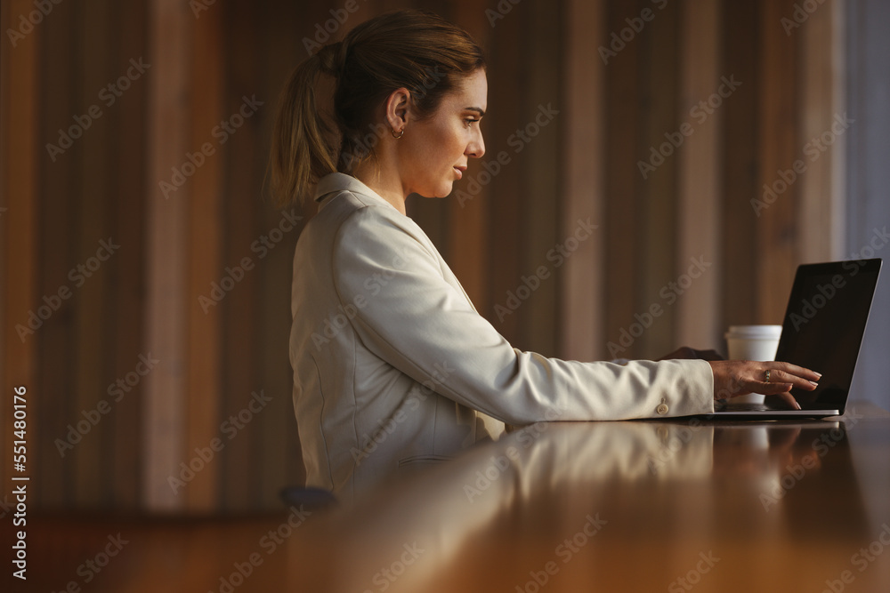 Female entrepreneur in the cafe typing on a laptop