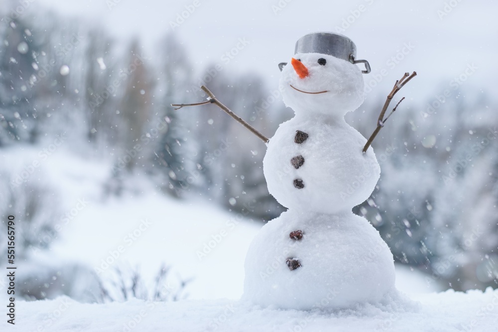 Lovely smiling snowman in the winter garden