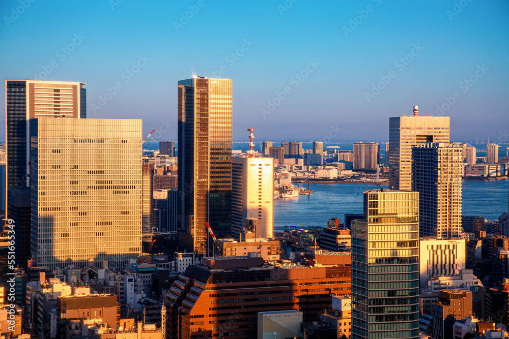 Aerial view of the skyline and cityscape at sunset in Minato, Tokyo, Japan