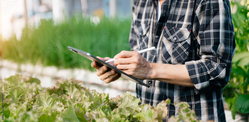 Asian farmer using digital tablet inspecting fresh vegetable in organic farm. Agriculture technology