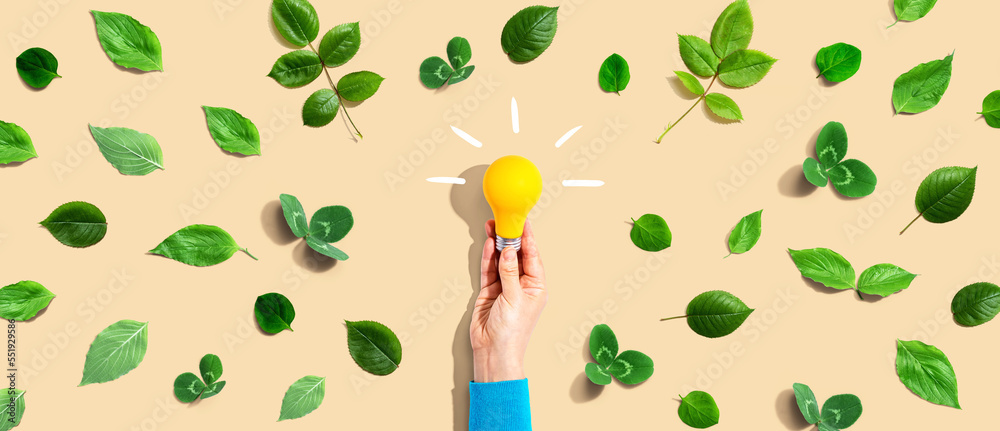 Person holding a light bulb with green leaves