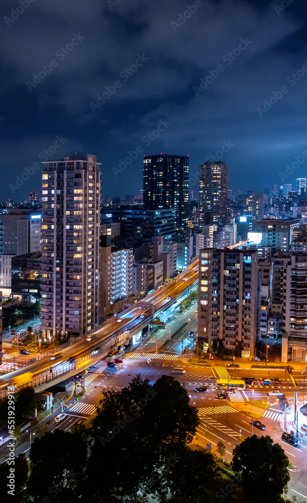 日本东京都港区的摩天大楼和高速公路