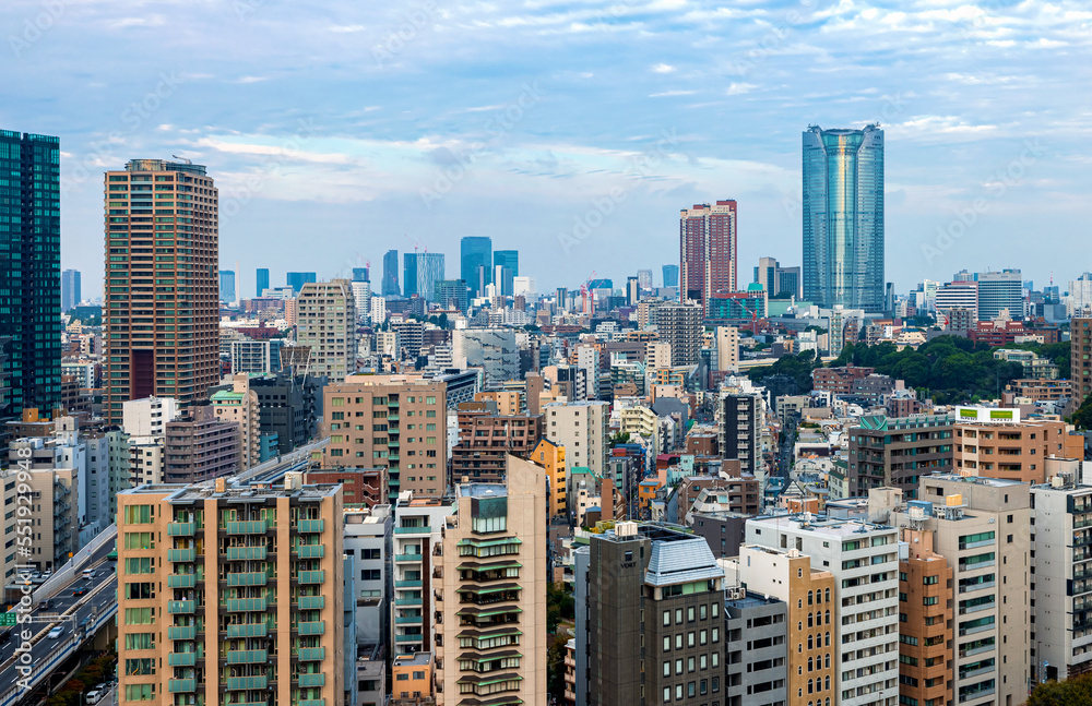 Skyscrapers and highways through Minato, Tokyo, Japan