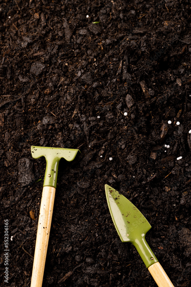 Vertical overhead of miniature gardening trowel and rake on soil with fertiliser, with copy space