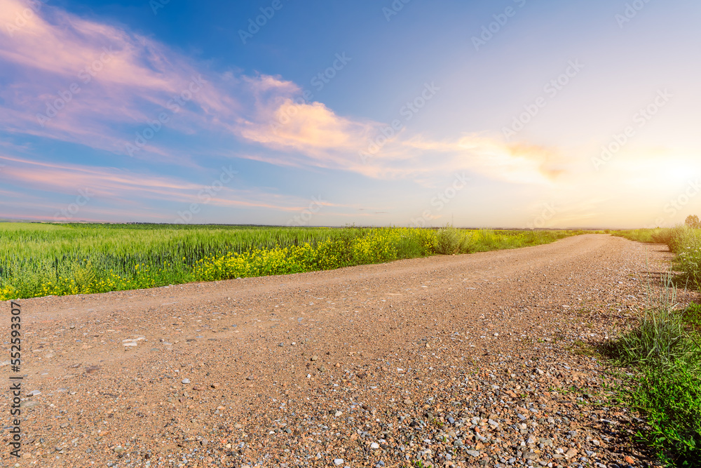 Country road and green wheat fields natural scenery at sunset