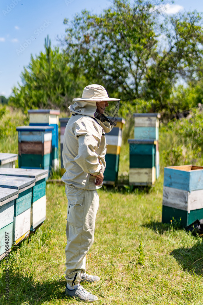 Apiary worker in the honeycomb field. Professional beekeeper in protective suit.