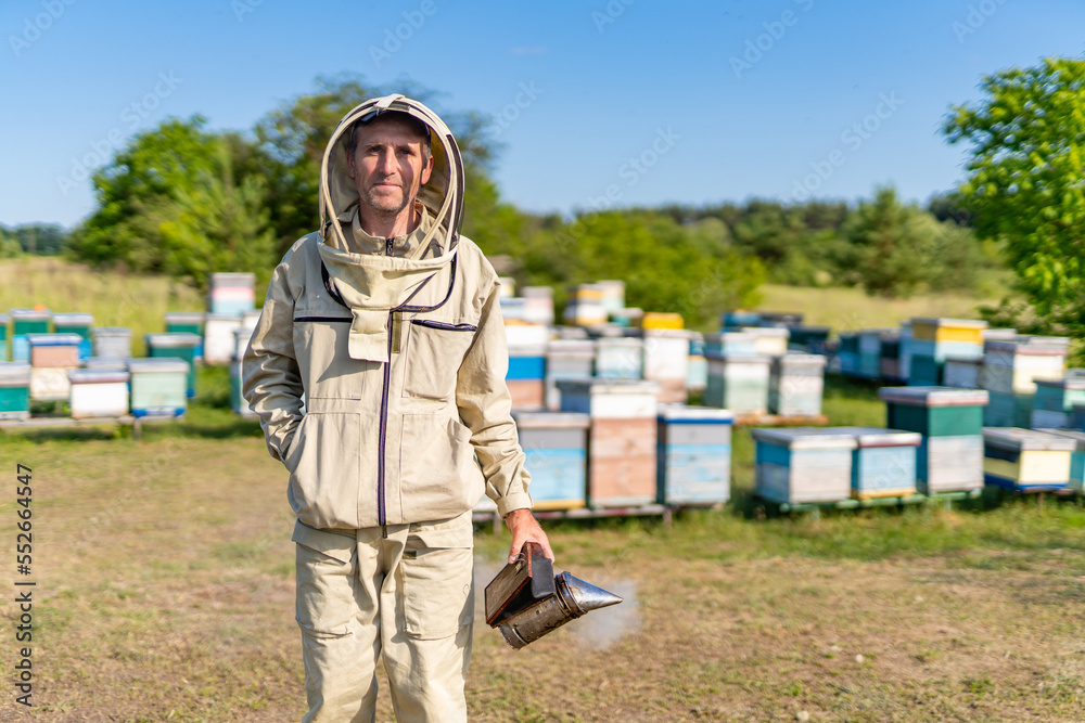 Male beekeeper in apiary. Man in protective beekeeping uniform.