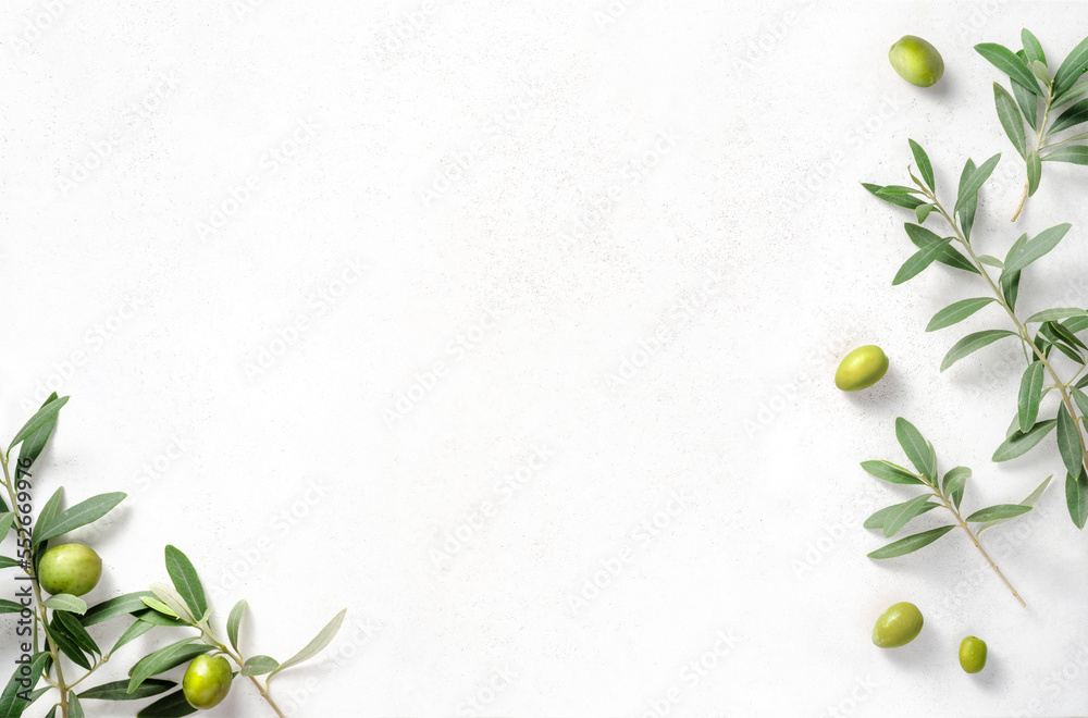 Olives and olive branches on white textured background. Background with olive leaves for your packag