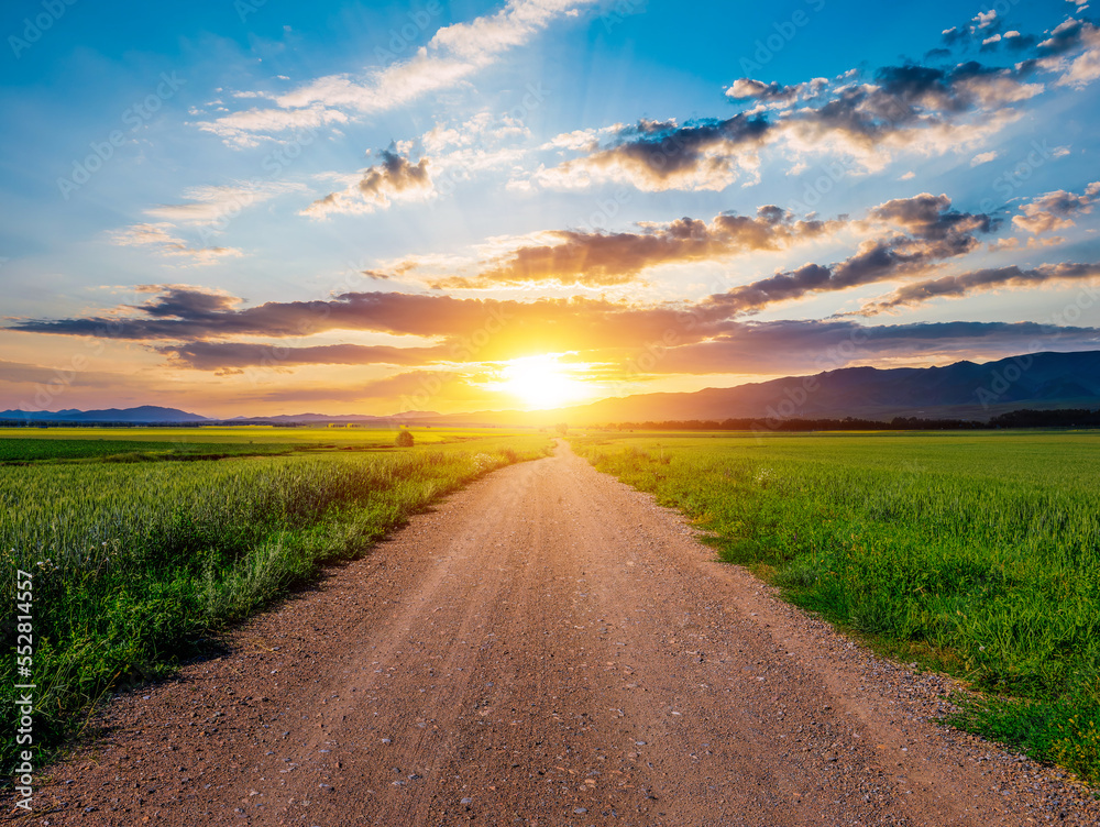 Country road and green wheat fields natural scenery at sunrise