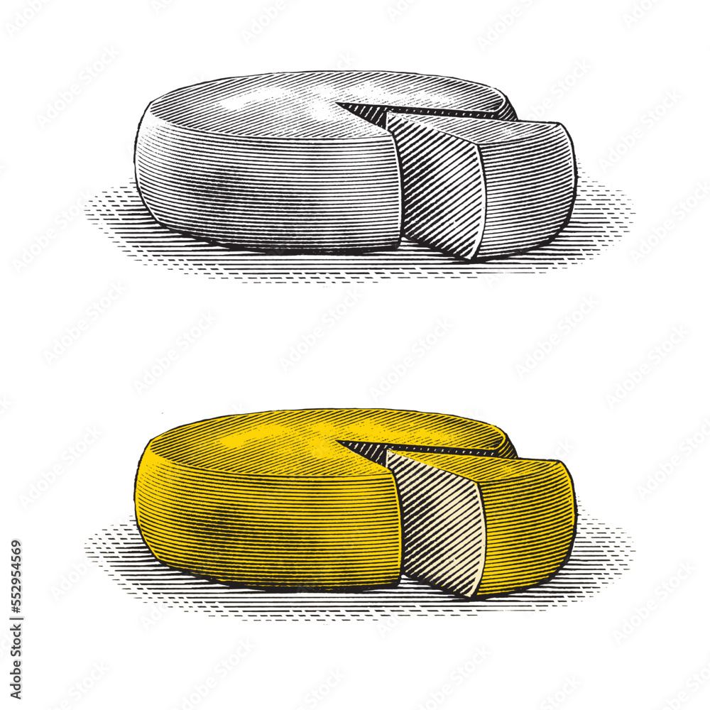 Illustration of a Cheese Wheel (truckle) isolated on a white background. the yellow colours are isol