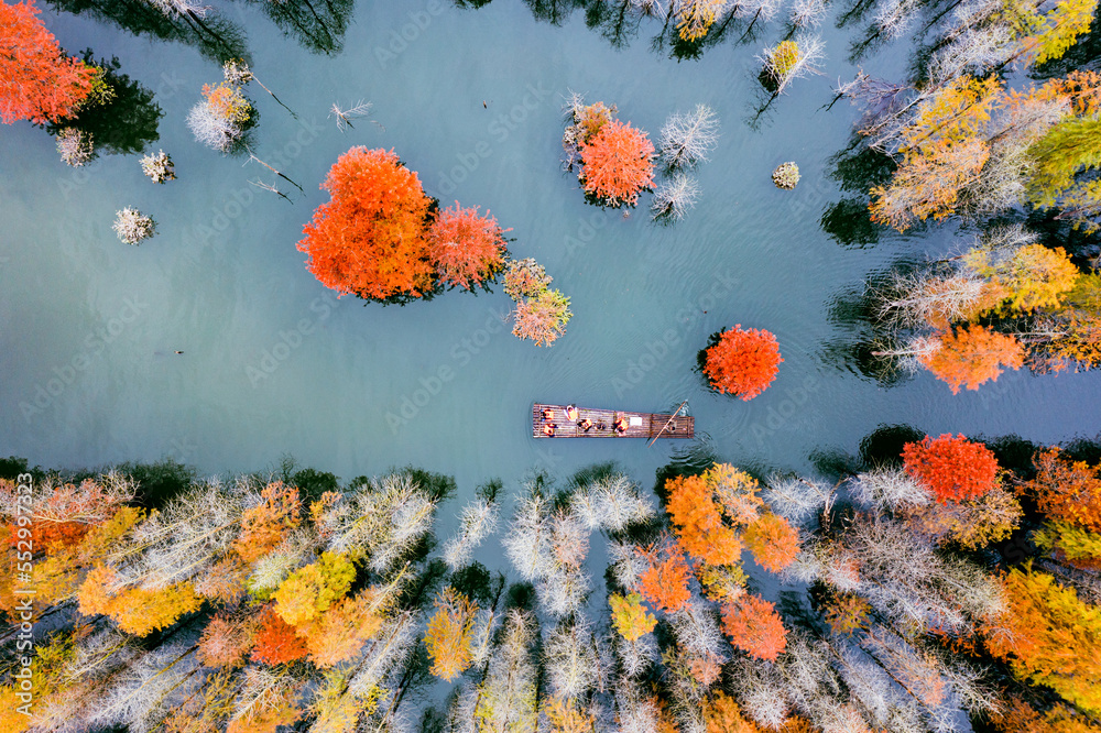 There are cruise ships in the red forest in the water