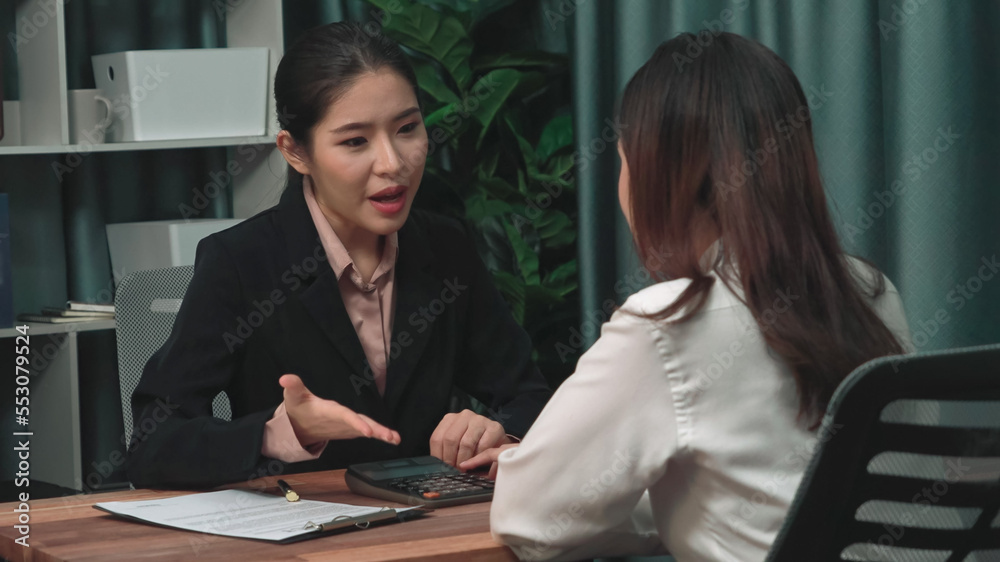 Young enthusiastic businesswoman negotiate financial business contract in the office. Client making 