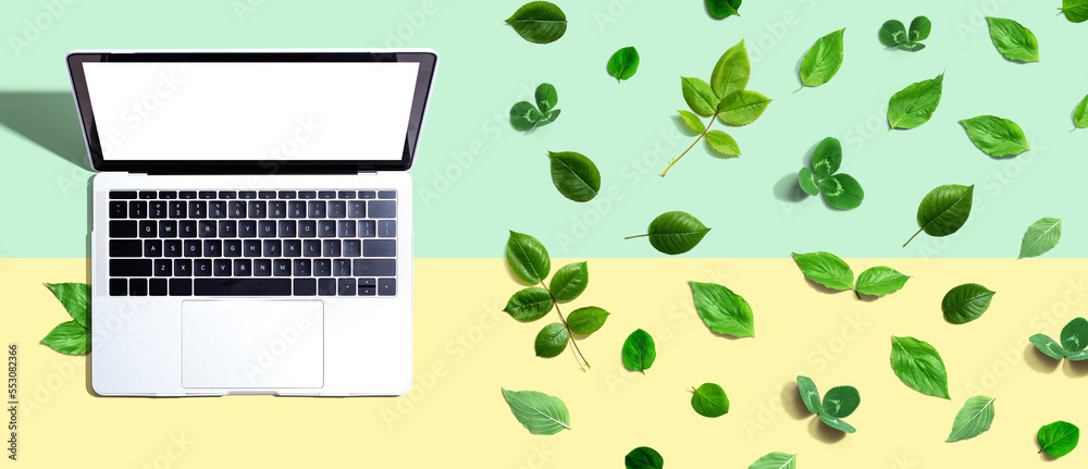 Laptop computer with green leaves - flat lay