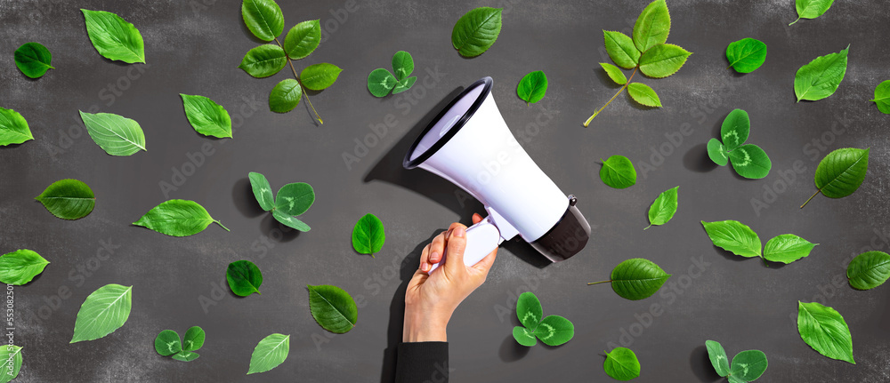 Person holding a megaphone with green leaves - flat lay