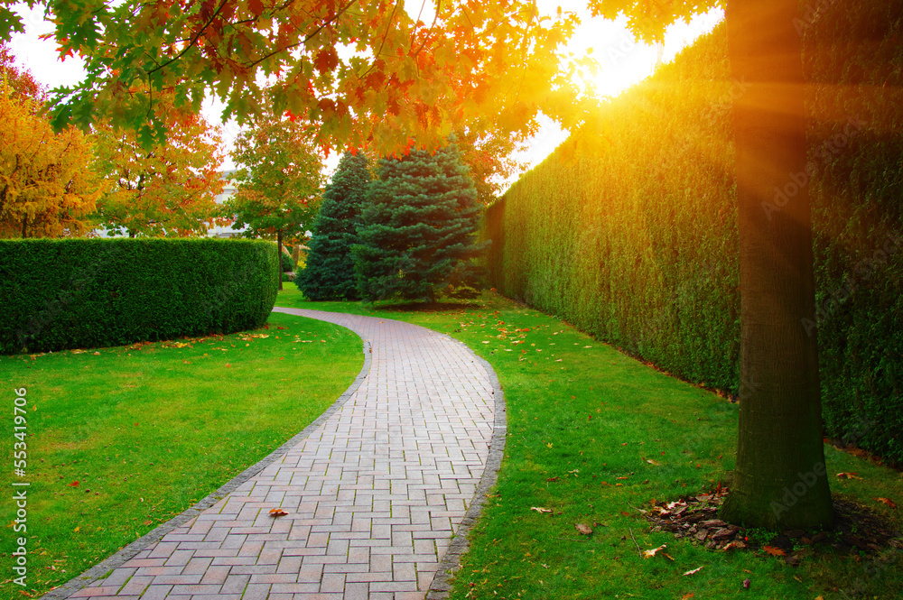 Autumn garden with green grass, trees and plants