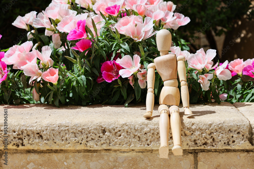 Wooden mannequin on stone near flowers in park