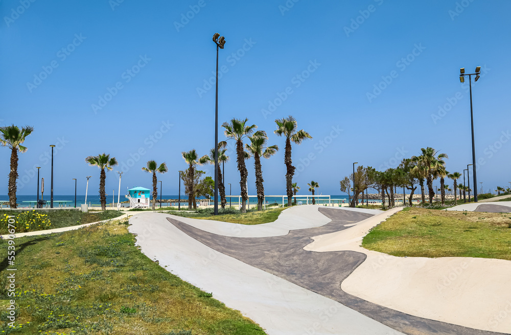 View of beautiful skate park and palm trees on sunny day