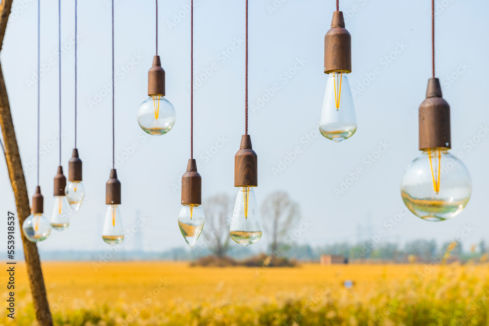 Light bulbs hanging in the park