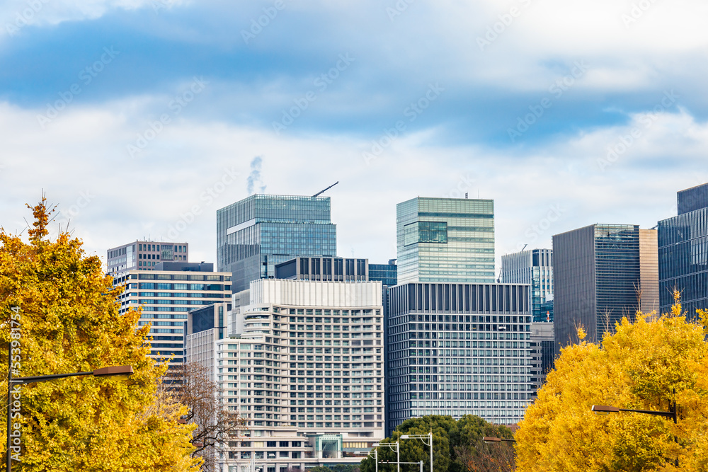 東京のビル群と鮮やかに紅葉した銀杏