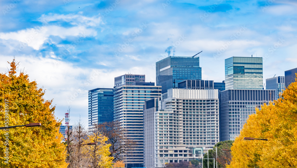 東京のビル群と鮮やかに紅葉した銀杏