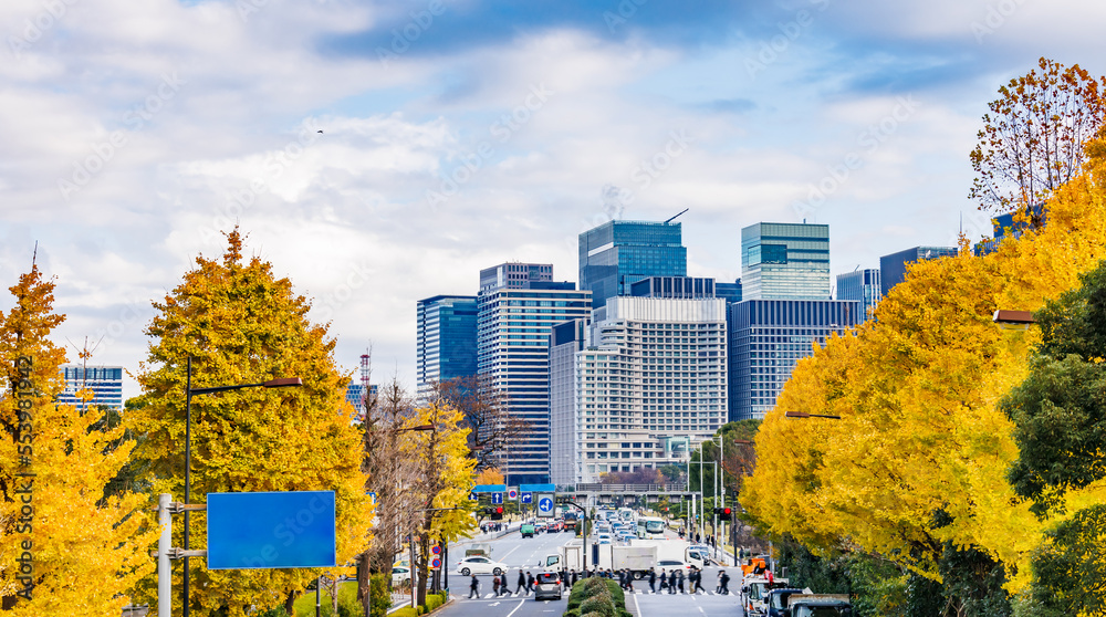 東京のビル群と鮮やかに紅葉した銀杏