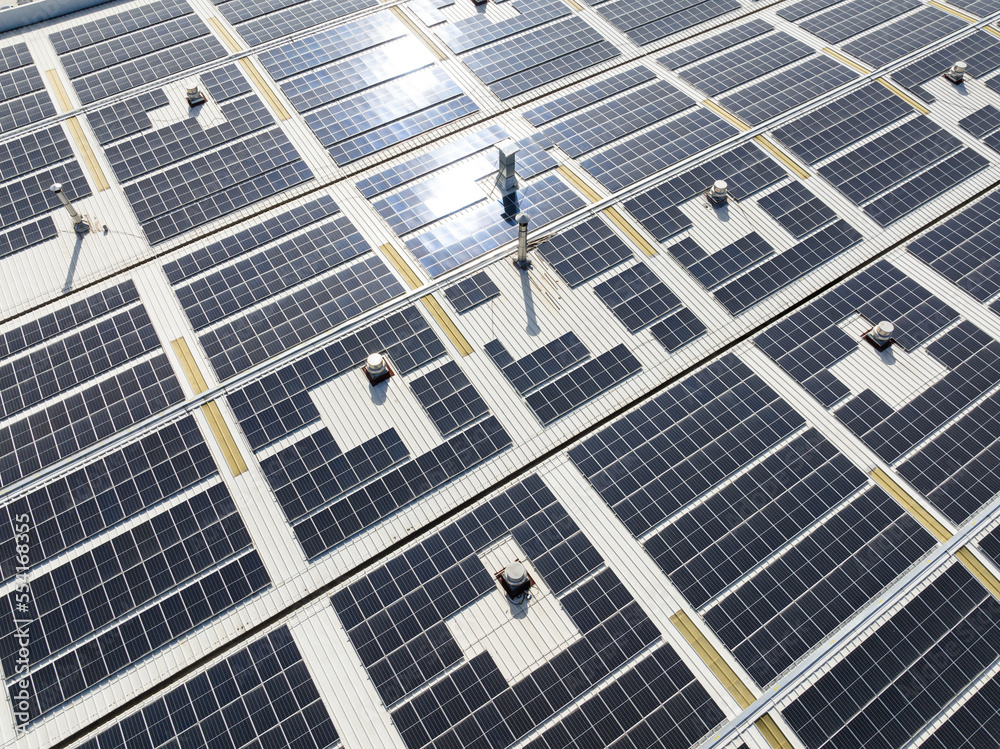 solar panels on factory rooftop